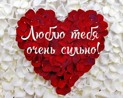 любовь❤ #💞💞 #ялюблютебя #люблю #безумнолюблю #❤️ #❤️ai❤️ | TikTok