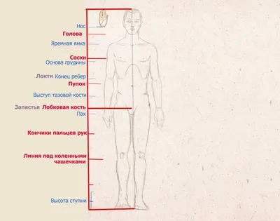 67 легких рисунков для срисовки | Красивые картинки для рисования | Canva