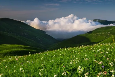 Луг. Большая российская энциклопедия