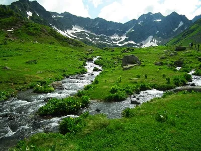 В Риге появятся десять новых городских лугов / Статья