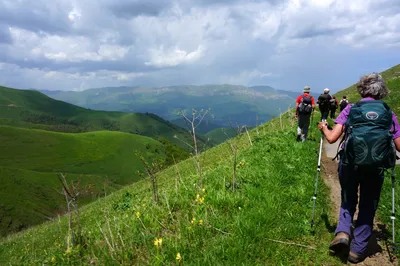 Луга И Кукурузные Поля В Горах — стоковые фотографии и другие картинки Без  людей - Без людей, Ветер, Возвышенность - iStock