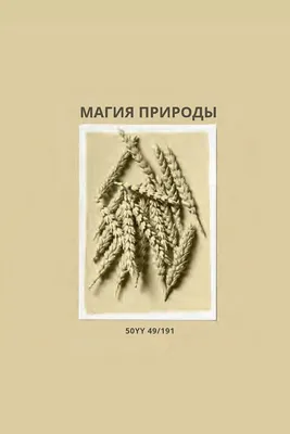 Книга «Магия начинки. Сочная. Вкусная. Безупречная\" - Магазин -  Комсомольская правда