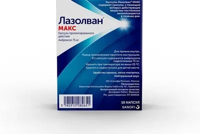 Спародировавший Зеленского блогер Комикадзе обратился в полицию из-за угроз  убийством - Газета.Ru