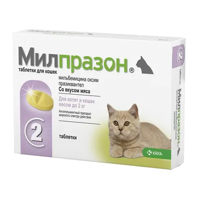 Мать кошка обнимает лапой маленького котенка. Кошка любит котенка. Мама  кошка и котенок спят вместе. Кошка серая, пушистая. Котенок маленький,  белый с рыжим Stock Photo | Adobe Stock