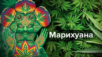 Пожарный выращивал марихуану в самодельной теплице / Статья