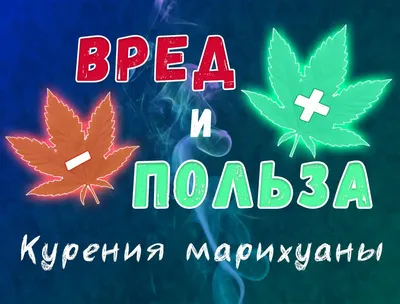 Кто и почему хочет легализации марихуаны в Украине | Українська правда  _Життя