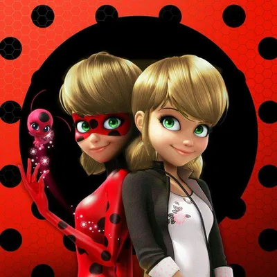 Кот Нуар глазами Маринетт | Miraculous LadyBug Вики | Fandom