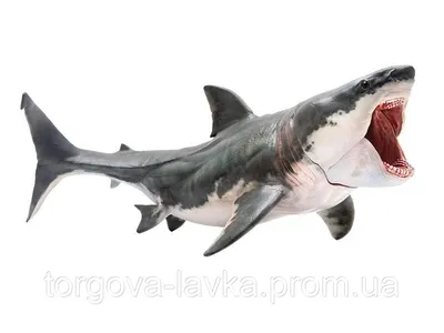 Фигурка мегалодона PNSO Megalodon акула (ID#1804674514), цена: 1224 ₴,  купить на Prom.ua