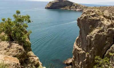 Чёрное море названо самым полезным. Объясняем, почему