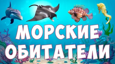 Фотобутафория \"Морские обитатели\" для праздника Подводный мир