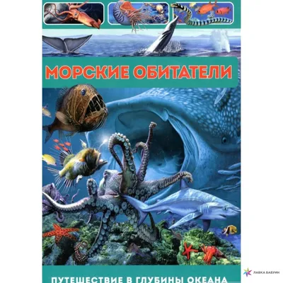 Развивающие наклейки для детей, для альбома, творчества Смотри и изучай: Морские  обитатели с названиями 325х240 мм - купить с доставкой по выгодным ценам в  интернет-магазине OZON (236931426)