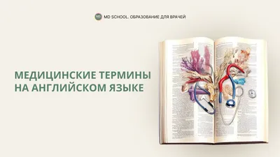 🏛️ Изучение английской транскрипции и ее роль в обучении чтению на  английском языке | Smapse