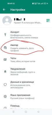 Картинки на аватарку в whatsapp (70 лучших фото)