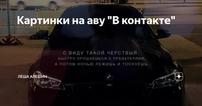 Крутые коты на аву | ВКонтакте