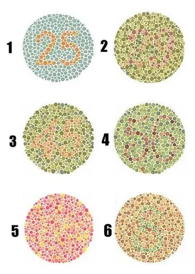 Онлайн-тест на дальтонизм | Тест на цветовосприятие на сайте АО  «МАКДЭЛ-Технологии»