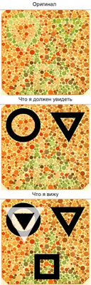 Онлайн-тест на дальтонизм | Тест на цветовосприятие на сайте АО  «МАКДЭЛ-Технологии»