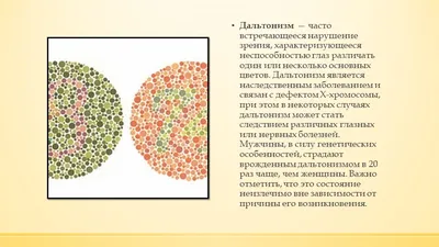 Тест цветовосприятие: проверка зрения у человека - Рамблер/новости