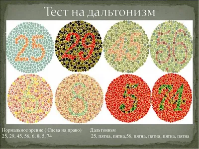 Тест на дальтонизм. Таблица Рабкина (полное описание)