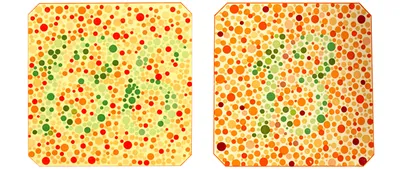 Тест: Если с вашим зрением все в порядке, вы увидите то, что скрыто на этих  картинках | Женский вопрос | Дзен
