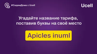 Наш Лис🦊 придумал для вас новую задачку на логику и внимательность🔥 ⠀  Получилось найти ответ? | Instagram