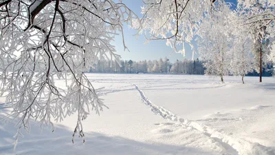 Фоновый рисунок на рабочий стол на весь экран природа зима (50 фото) »  рисунки для срисовки на Газ-квас.ком