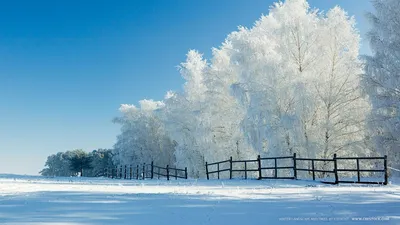 Начало зимы обои - 60 фото