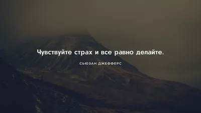 обои на рабочий стол радуга с деревом, радуга обои, бесплатное фоновое  изображение для телефона, обои фон картинки и Фото для бесплатной загрузки