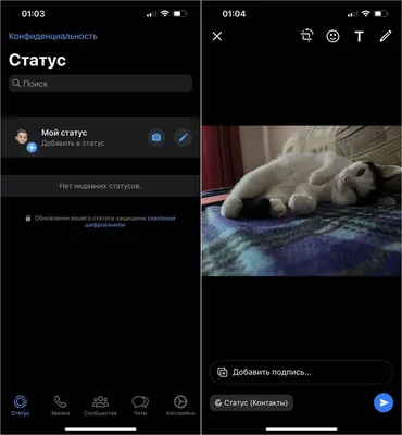 Статус из фото и видео в WhatsApp. Истории в вотсап