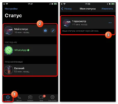 Как скрыть онлайн-статус в WhatsApp: новая функция