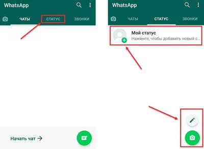 Как использовать статус WhatsApp: 10 вещей, которые вам нужно знать? |  Компьютерный гений | Дзен