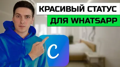 Что такое статус в WhatsApp и как его установить и удалить