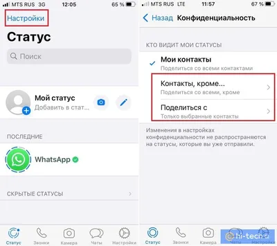 Голосовые статусы в WhatsApp. Что это и кому они доступны -  AndroidInsider.ru