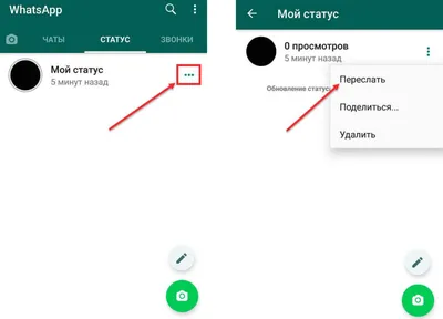 В WhatsApp добавят возможность реакции на статус при помощи эмодзи | РБК  Life