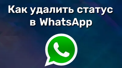 Статус в WhatsApp: подробное руководство по использованию