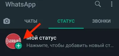 Как удалить статус в WhatsApp | Ответы | Дзен