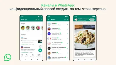 В WhatsApp добавят возможность реакции на статус при помощи эмодзи | РБК  Life