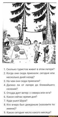 Тест на внимательность! 👀 Сколько волков вы нашли на картинке? 🤔 #тест  #внимание #внимательность #зрение #волки #овцы… | Instagram