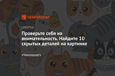 Сборник 1000 головоломок и заданий на внимательность, 6+ купить на сайте  Доступная Страна