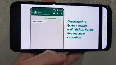 Семь способов самостоятельно исправить сбои в работе WhatsApp - Газета.Ru