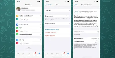 Как перенести WhatsApp на другой смартфон: инструкция для iPhone и  Android-гаджетов. Cтатьи, тесты, обзоры