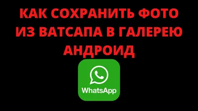 В WhatsApp-чатах сообщили, что через поздравительные картинки со смартфона  воруют данные - 5 марта 2022 - НГС