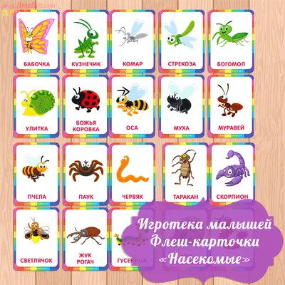 Насекомые для детей 🐝 Учим насекомых 🐞 Насекомые мультик 🐜 Насекомые  звуки 🕷 Развивающие мультики - YouTube