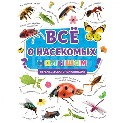 Учим с ребенком насекомых: разбираемся, зачем и как это сделать в игровой  форме | Игры для развития детей | Дзен