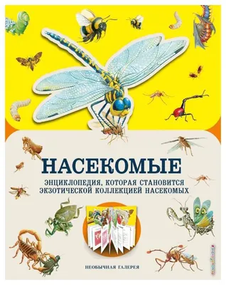 Большая книга о насекомых. 1001 фотография (Анна Спектор) - купить книгу с  доставкой в интернет-магазине «Читай-город». ISBN: 978-5-17-137645-1