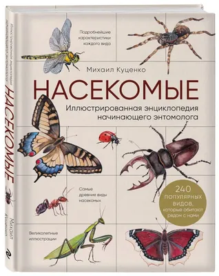 Интересные факты о насекомых, возможно которые вы не знали. | Факты обо  всём | Дзен