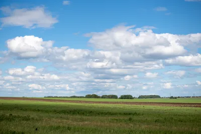 Как фотографировать звезды и ночное небо | Green lifestyle blog