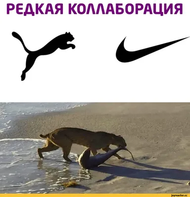 Nike Логотип На Подошве — стоковые фотографии и другие картинки Обувь -  Обувь, Без людей, Вертикальный - iStock