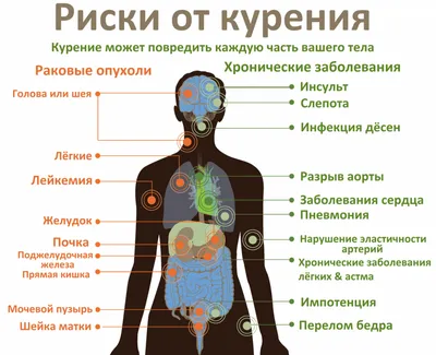 Плакат \"О вреде курения\" - 1 л. (300*420мм)