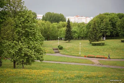 Квест-экскурсия по парку Галицкого 🧭 цена экскурсии 5985 руб., 31 отзыв,  расписание экскурсий в Краснодаре