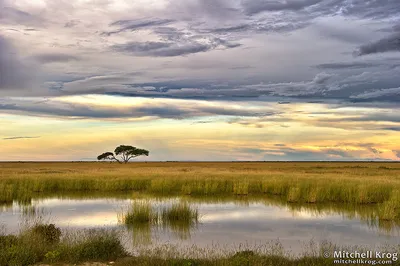 10 советов как правильно фотографировать пейзаж